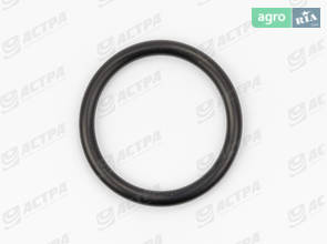 Ущільнення 25х3-N 631147.0