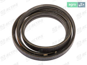 Пас 2HB BP 2650 Harvest Belts 667252.0