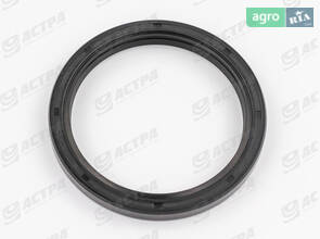 Сальник 65х80х8 B1SL 218384.0