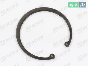 Кільце стопорне внутрішнє 110х4 235194.0