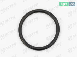 Кільце 24х2.5-N 238353.0