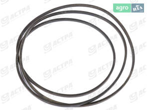 Пас HC 6925 Harvest Belts 644368.0 644368.1