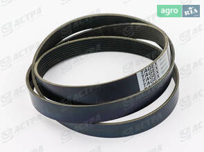 Ремень 8 PK 2060 TAGEX 798498.0