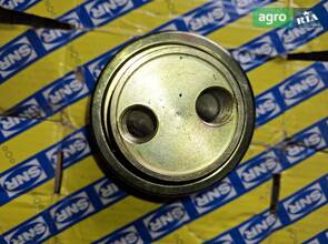 Ступичний пітшибник