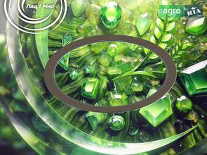 Диск фрикційний