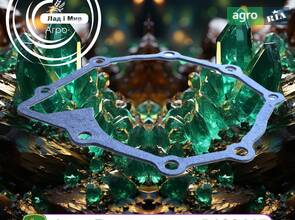 Прокладка, сальник