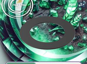 Регулювальна шайба 