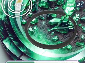 Стопорне кільце