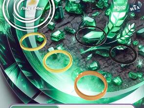 Комплект ущільнювачів