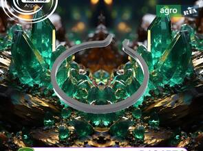 Стопорне кільце вала