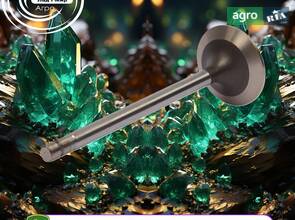 Впускний клапан 