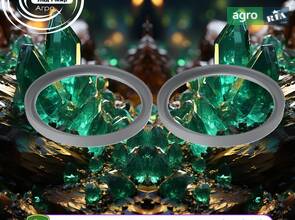 Сальник RE527613 до комбайна John Deere