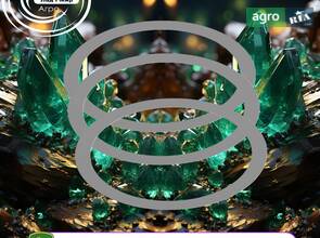 Кільце регулювальне