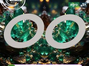 Регулювальна шайба