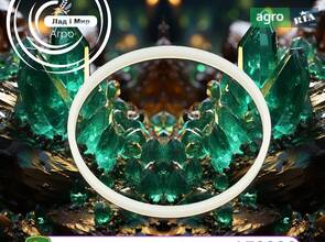 Шайба L79230 до трактора John Deere