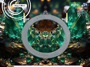 Шайба R244926 до трактора John Deere