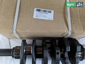 Колінчастий вал двигуна Y385-05003 910303002869