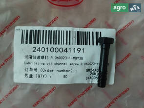 Порожнистий болт R.060023-1-M8*38 240100041191