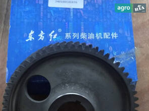 Шестерня розподільчого валу R.060003A 240100143476