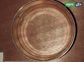 Втулка задньої опори переднього мосту 1.21.195/5129385 240100002331