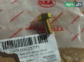 Болт M10*1.25*30-10.9 10357/04/14233624 240100025771