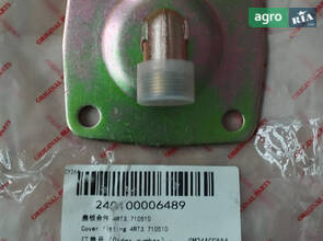 Фланець впускного колектора 4RT3. 710510 240100006489