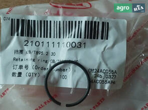  Стопорне кільце GB/T895.2 30 210111110031