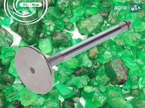 Впускний клапан