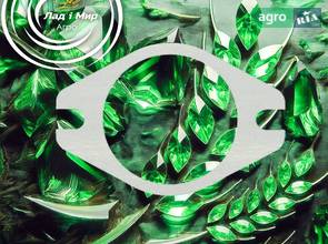 Прокладка 816940010010 до трактора Fendt