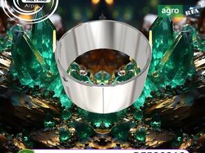 Вкладиші Шатунні 