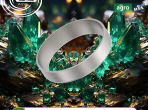 Підшипник Роликовий 