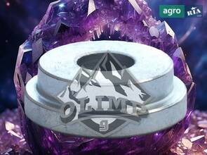 Втулка HXE15909-OL до комбайна John Deere