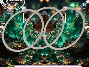 Ущільнювальне кільце R42765 до трактора John Deere