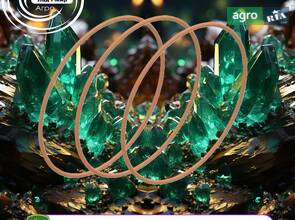 Кільце встановлююче R35153 до трактора John Deere