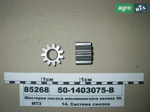 Шестерня масляного насоса (на валу 50-1403052-Б) (вир-во БЗА) 50-1403075-В