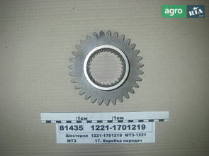 Шестерня КПП валу проміжного Z=31 МТЗ-1221 (пр-во МТЗ) 1221-1701219