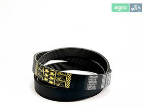 Ремень поліклиновий 1885281 GATES (R123308; R135438)