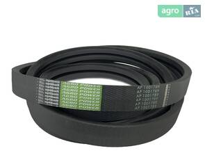 Привідний ремінь 1001789 OPTIBELT (H176765)