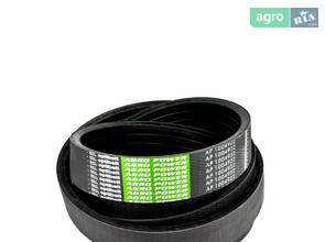 Привідний ремінь 1004922 (1146076) OPTIBELT