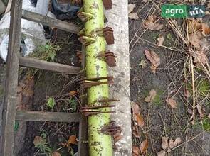 Вал січкарки соломи