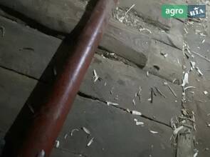 Гідроциліндр