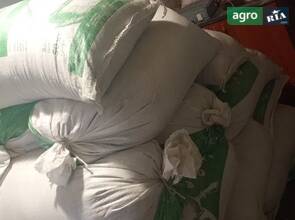 овес, пшениця та ячмінь