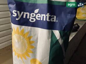 Арко насіння соняшника