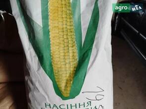  Посевная кукуруза Пионер ФАО 300