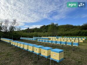 Бджолопакети