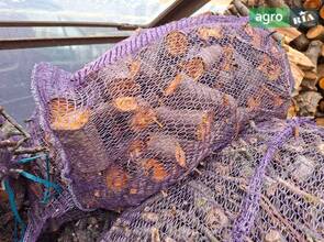 Дрова плодових дерев