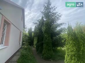 Ялинка жива 15 метрів.