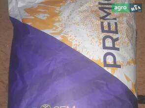 Посівний соняшник "Тор" НС 7749 (ЄвроСем / NS Seme)