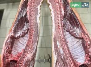 Домашня свинина