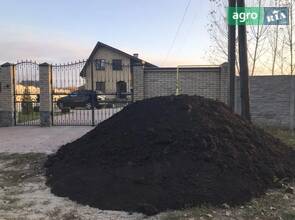 Чорнозем, земля